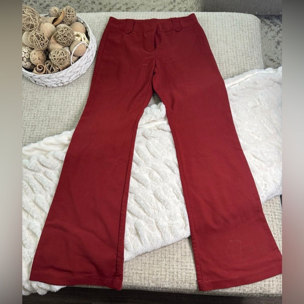 Stylish Brick Dress Pants size 3
